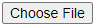ChMS Choose File.png